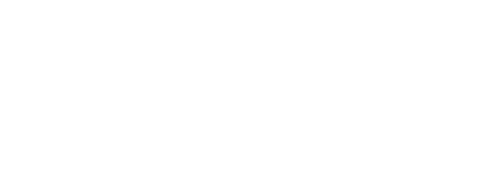 big depot climbing logo